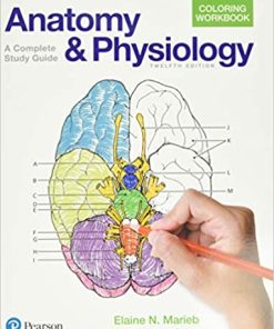 Anatomy and Physiology Coloring Workbook a Complete Study Guide 12th Edition