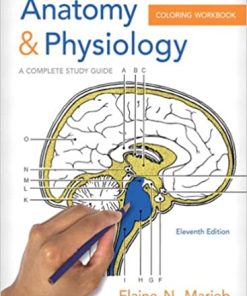Anatomy & Physiology Coloring Workbook A Complete Study Guide 11th Edition