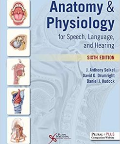 Anatomy & Physiology For Speech Language And Hearing 6th Edition