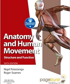Anatomy and Human Movement Structure 6th Edition