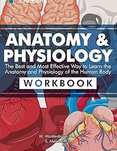 Anatomy & Physiology: The Best and Most Effective Way to Learn the Anatomy and Physiology of the Human Body: Workbook
