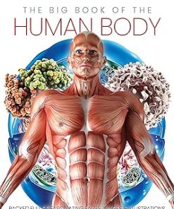 Sona Books The Big of the Human body