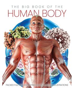 The Big Book Of The Human Body