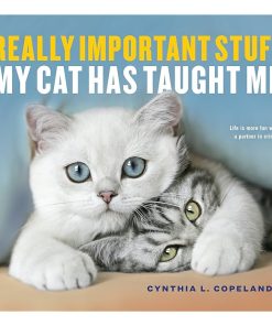 Really Important Stuff My Cat Has Taught Me