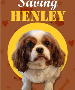 SAVING HENLEY