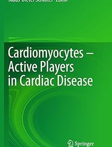 Cardiomyocytes – Active Players in Cardiac Disease