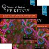 Brenner and Rectors The Kidney 11th Edition