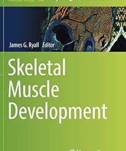 Skeletal Muscle Development