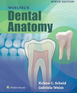 Woelfels Dental Anatomy