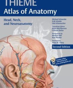 Head, Neck, and Neuroanatomy (THIEME Atlas of Anatomy)