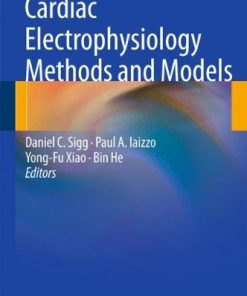Cardiac Electrophysiology Without Fluoroscopy