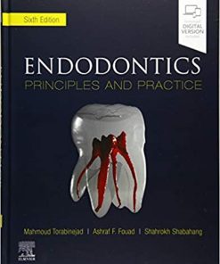 Endodontics: Principles and Practice 6th Edition