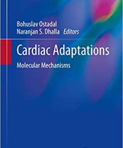 Cardiac Adaptations Molecular Mechanisms