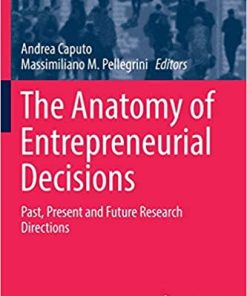 The Anatomy of Entrepreneurial Decisions Past Present and Future Research Directions