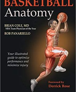 Basketball anatomy