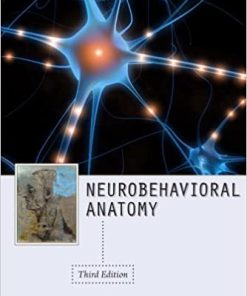 Neurobehavioral Anatomy 3rd Ed