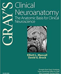 Gray's Clinical Neuroanatomy: The Anatomic Basis for Clinical Neuroscience By Elliott L. Mancall