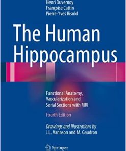 The Human Hippocampus Functional Anatomy Vascularization and Serial Sections with MRI