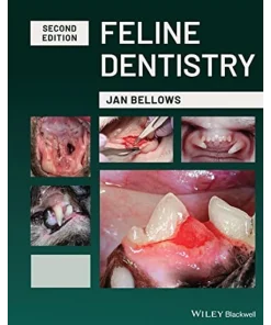 Feline Dentistry