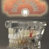 Dental Journal for Students & Doctors