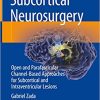 Subcortical Neurosurgery Open and Parafascicular Channel Based Approaches for Subcortical and Intraventricular Lesions