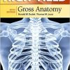 High Yield Gross Anatomy 5th Edition