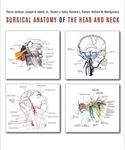 Surgical Anatomy of the Head and Neck