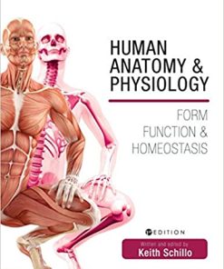Human Anatomy And Physiology Form Function And Homeostasis
