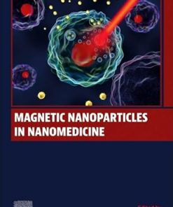 Magnetic Nanoparticles in Nanomedicine