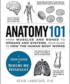 Anatomy 101 From Muscles and Bones to Organs and Systems Your GuiHuman de to How the Body Works