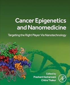 Cancer Epigenetics and Nanomedicine