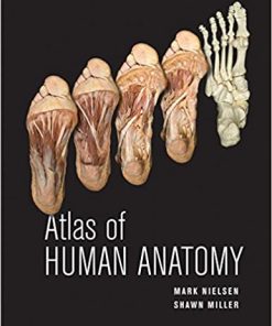 Atlas of Human Anatomy By Mark Nielsen