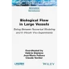 Biological Flow in Large Vessels