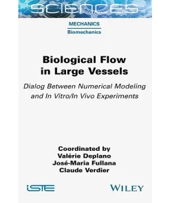 Biological Flow in Large Vessels