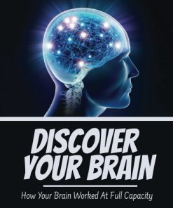 Discover Your Brain How Your Brain Worked At Full Capacity