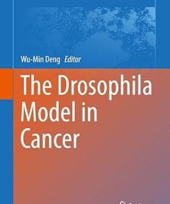 The Drosophila Model in Cancer