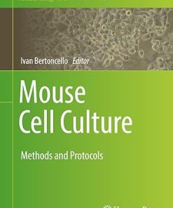 Mouse Cell Culture