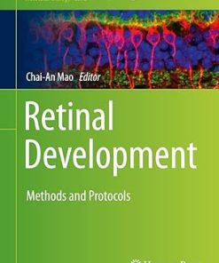 Retinal Development