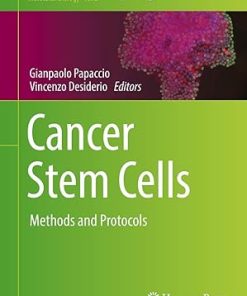 Cancer Stem Cells