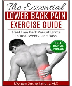 The Essential Lower Back Pain Exercise Guide Treat Low Back Pain at Home in Just Twenty-One Days