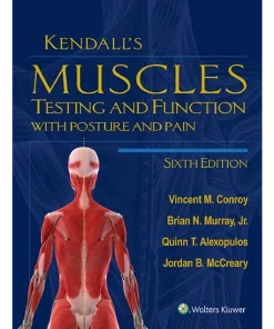 Kendall's Muscles