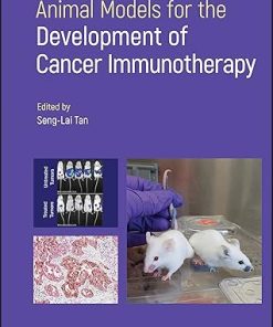 Animal Models for the Development of Cancer Immunotherapy