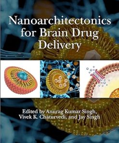 Nanoarchitectonics for Brain Drug Delivery
