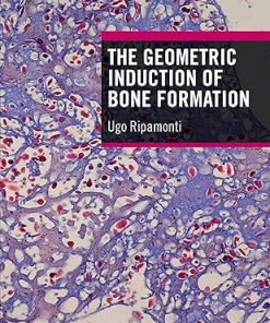 The Geometric Induction of Bone Formation