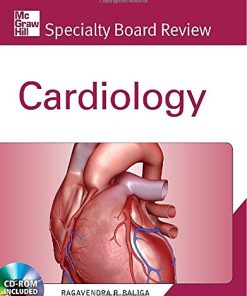 Microdomains in the Cardiovascular System