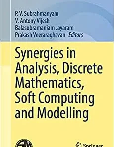 Synergies in Analysis Discrete Mathematics Soft Computing and Modelling